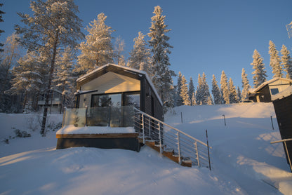 C "Henry Ford Cabin"