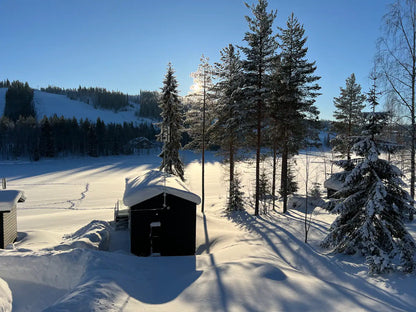 C "Henry Ford Cabin"